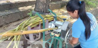 Foto: Jugo de caña, o guarapo, emprendimiento nuevo en Managua / TN8
