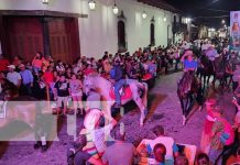 Hermoso y elegante: Hípico de Gala Nacional fue una fiesta en León Foto: Hípico de Gala Nacional en León / TN8