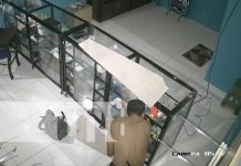 Ladrón «barre» con negocio de celulares en Chinandega (y abrió hace dos meses) Foto: Roban tienda de celulares en Chinandega / TN8