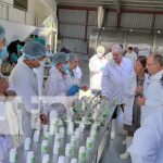 Centro de Desarrollo de Moringa en León: Innovación en alimentación y salud Foto: Centro de desarrollo de moringa en León / TN8