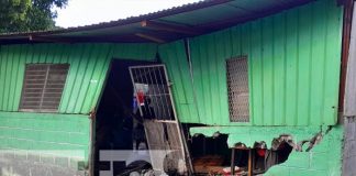 Foto: Camión se estrella con una vivienda en San Luis / TN8