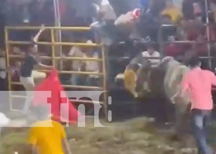 Foto: Terrible embestida de toro a un sorteador en Altagracia, Ometepe / TN8 Foto: Terrible embestida de toro a un sorteador en Altagracia, Ometepe / TN8