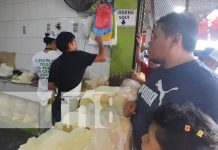 No vas a creer a cuánto se cotiza la libra de queso en el Mercado Iván Montenegro Foto: Precios del queso en el Mercado Iván Montenegro / TN8