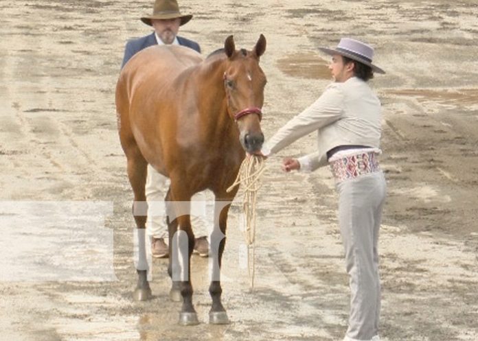Foto: Feria Ganadera 2024 / TN8 Foto: Feria Ganadera 2024 / TN8