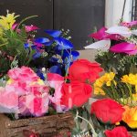 ¡Desde Masaya hasta Ocotal! Feria de las Flores vislumbra con su color Foto: Flores en Ocotal, Nueva Segovia / TN8