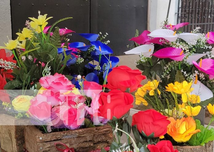 Foto: Flores en Ocotal, Nueva Segovia / TN8 Foto: Flores en Ocotal, Nueva Segovia / TN8