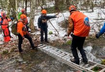 Dos hombres pierden la vida mientras buscaban a Pie Grande en un bosque en EE.UU. Foto: Dos hombres perdidos mientras buscaban a Pie Grande/Cortesía