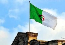 Solidaridad y amistad: Argelia felicita a Nicaragua por el año nuevo 2025 Foto: Solidaridad y amistad: Argelia felicita a Nicaragua por el año nuevo 2025 / Cortesía