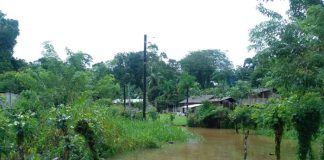 Foto: Inundaciones en Costa Rica /cortesía