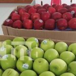 Dos Robles anuncia promociones de frutas para las Purísimas y Navidad