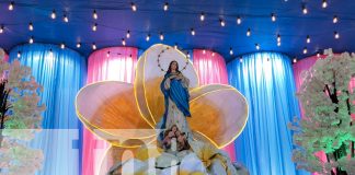 Foto: La Avenida Bolívar brilla con altares dedicados a la Virgen María/TN8