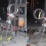 Acróbata de circo sale volando tras una peligrosa presentación Foto: Acróbata pone en riesgo su vida /cortesía