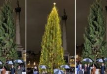 Las críticas al árbol de Navidad en Londres se vuelven virales Foto: El polémico árbol de navidad /cortesía