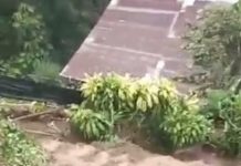 ¡Gritos de desesperación! Perdió su casita tras un deslizamiento de tierra en Costa Rica Foto: Desgarrador testimonio en Costa Rica /cortesía