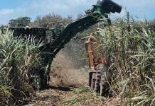 Foto: El sector azucarero continúa siendo un pilar fundamental para la economía/Cortesía