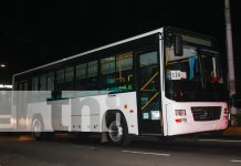 Masaya sigue renovando su flota de transporte público