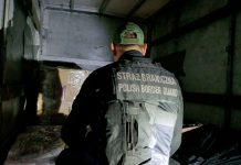 Guardia Fronteriza de Polonia decomisa 44 litros de cocaína líquida Foto: Polonia informó la incautación de 44 litros de cocaína/Cortesía