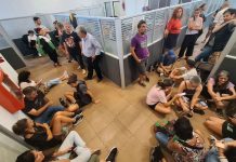 Gobierno de Argentina anuncia masivos despidos y reducción salarial Foto: Despidos en Argentina /cortesía
