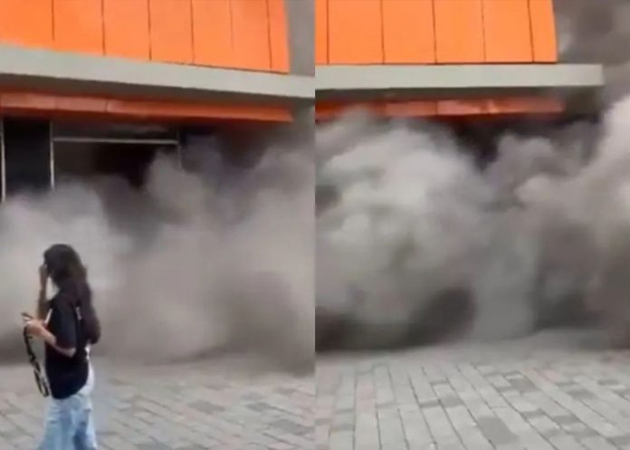 Foto: Terror en Colombia /cortesía Foto: Terror en Colombia /cortesía