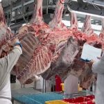 Nicaragua lidera la calidad de la carne bovina en Latinoamérica y aumenta su competitividad