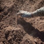 Descubren 11 fosas comunes cerca de la frontera entre México y EE.UU. Foto: autoridades de México han descubierto un macabro hallazgo/Cortesía