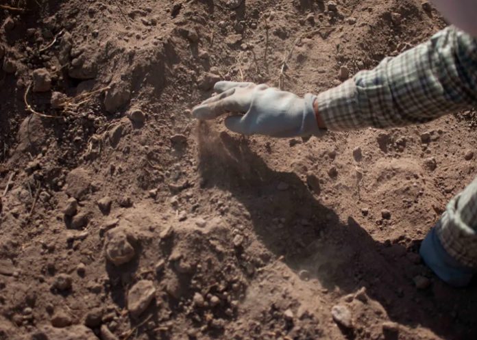 Foto: autoridades de México han descubierto un macabro hallazgo/Cortesía Foto: autoridades de México han descubierto un macabro hallazgo/Cortesía