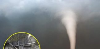 foto: Caos en Estados Unidos /cortesía