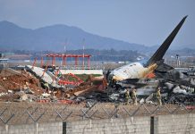 Corea del Sur ordena inspección de todos los Boeing 737-800 tras accidente en Muan Foto: Corea del Sur inspeccionará todos los Boeing 737-800 /Cortesía