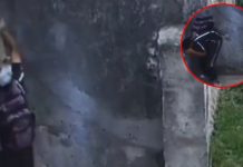 Clase caballada: Ladrón le ‘raja la cabeza’ a su cómplice con una caja de cerámicas Foto: Le 'rompe la cabeza' a su cómplice con una caja de cerámicas /Cortesía