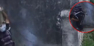 Foto: Le 'rompe la cabeza' a su cómplice con una caja de cerámicas /Cortesía