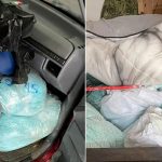 México incauta más de una tonelada de fentanilo en operativo histórico Foto: Operativo en México /cortesía