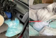 México incauta más de una tonelada de fentanilo en operativo histórico Foto: Operativo en México /cortesía