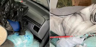 Foto: Operativo en México /cortesía