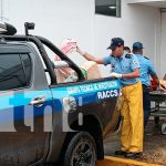 Tragedia en Bluefields: Joven muere tras recibir cuatro disparos, presunto autor prófugo Foto: Tragedia en Bluefields: Joven muere tras recibir cuatro disparos, presunto autor prófugo/TN8