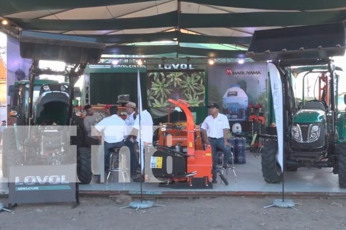 2 Foto: Feria Ganadera Estelí 2024: Un evento cultural, comercial y turístico/TN8