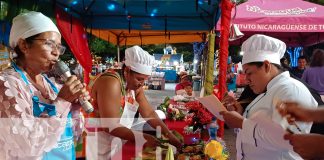 Foto: Realizan el Festival Departamental "Delicias Navideñas" en Granada/TN8
