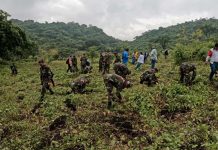 Campaña de reforestación de Nicaragua “Verde, que te quiero verde” avanza con éxito Foto: Nicaragua continúa con éxito la campaña nacional de reforestación/Cortesía