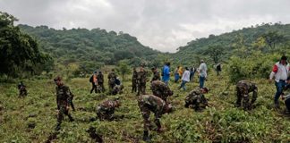 Foto: Nicaragua continúa con éxito la campaña nacional de reforestación/Cortesía