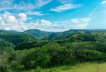 ¡Día Internacional de las Montañas! Un llamado a la protección Foto: 11 de diciembre se celebra el Día Internacional de las Montañas/Cortesía