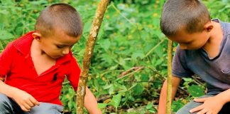 Foto: Jinotega avanza con la siembra de más de 763,000 plantas/Cortesía