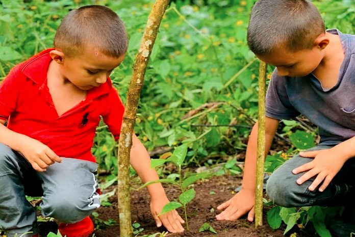 Foto: Jinotega avanza con la siembra de más de 763,000 plantas/Cortesía Foto: Jinotega avanza con la siembra de más de 763,000 plantas/Cortesía