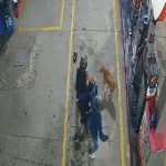 ¡Viral! Valiente perro ahuyenta a ladrones que intentaron asaltar gasolinera en Bogotá