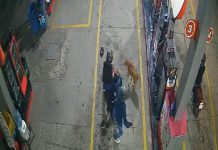 ¡Viral! Valiente perro ahuyenta a ladrones que intentaron asaltar gasolinera en Bogotá