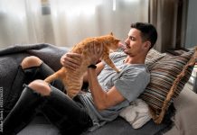 Mujer demanda a su esposo por preferir a su gato sobre ella Foto: Mujer demanda a su esposo por preferir a su gato sobre ella