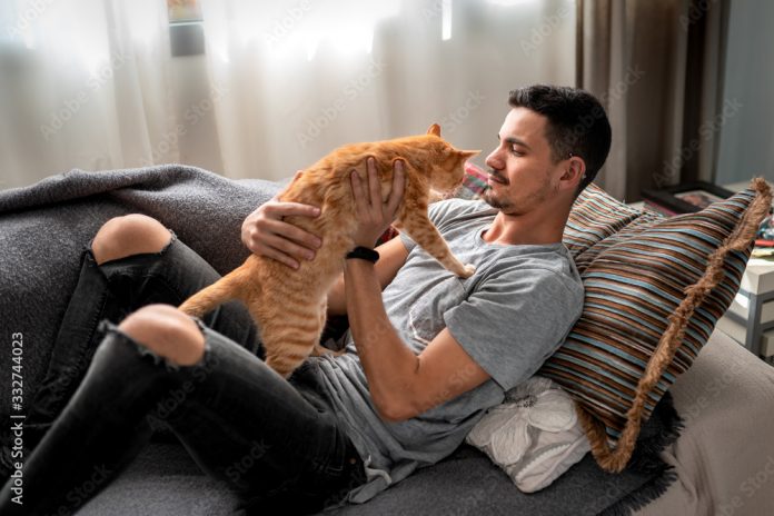 Foto: Mujer demanda a su esposo por preferir a su gato sobre ella Foto: Mujer demanda a su esposo por preferir a su gato sobre ella