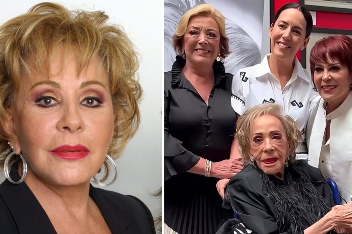 Foto: Lectura del testamento de la emblemática Silvia Pinal /Cortesía Foto: Lectura del testamento de la emblemática Silvia Pinal /Cortesía