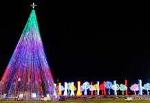 ¡La Navidad trae Paz, Esperanza y Unión para Nicaragua! Foto: ¡La Navidad trae Paz, Esperanza y Unión para Nicaragua!