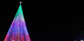 Foto: ¡La Navidad trae Paz, Esperanza y Unión para Nicaragua!