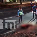 Tragedia en Carretera Norte: encuentran a un hombre sin vida y con severos golpes Foto: Una vida apagada en la Carretera Norte. Un hombre es hallado sin vida tras un presunto atropello en Waspán./TN8