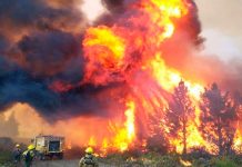 Incendio fuera de control en Argentina deja más de 1500 hectáreas quemadas Foto: Parque Nacional Nahuel Huapi,Argentina/Cortesía